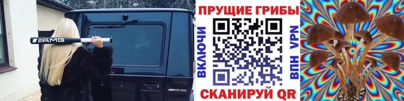 даркнет сайт Волоколамск Псилоцибиновые грибы мицелий
